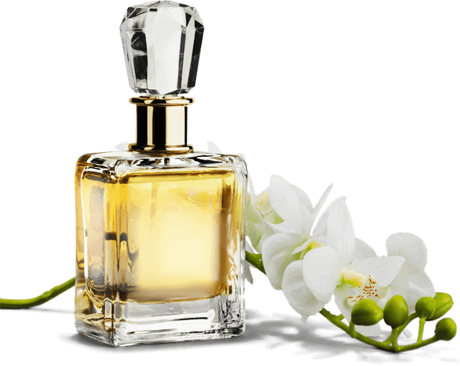 Perfume Influencers Image