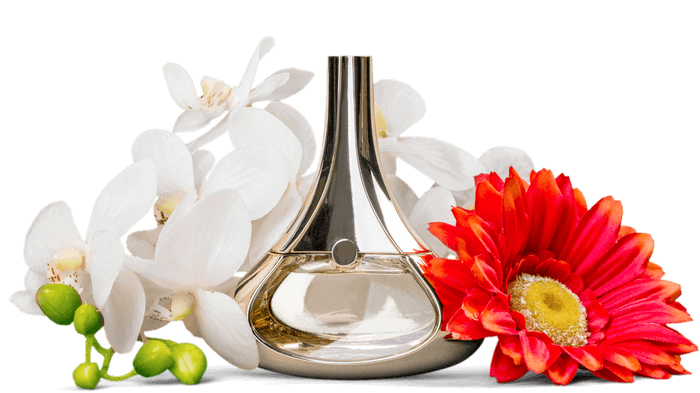 Perfumes By Gender Image