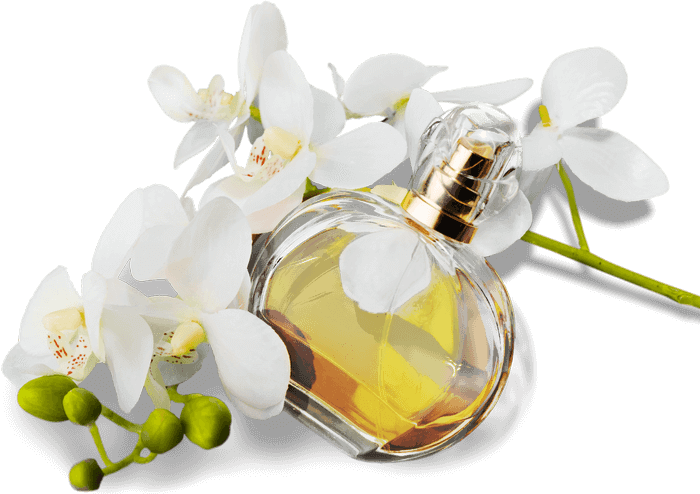 Subscribe to Savour Experience Perfumes Image