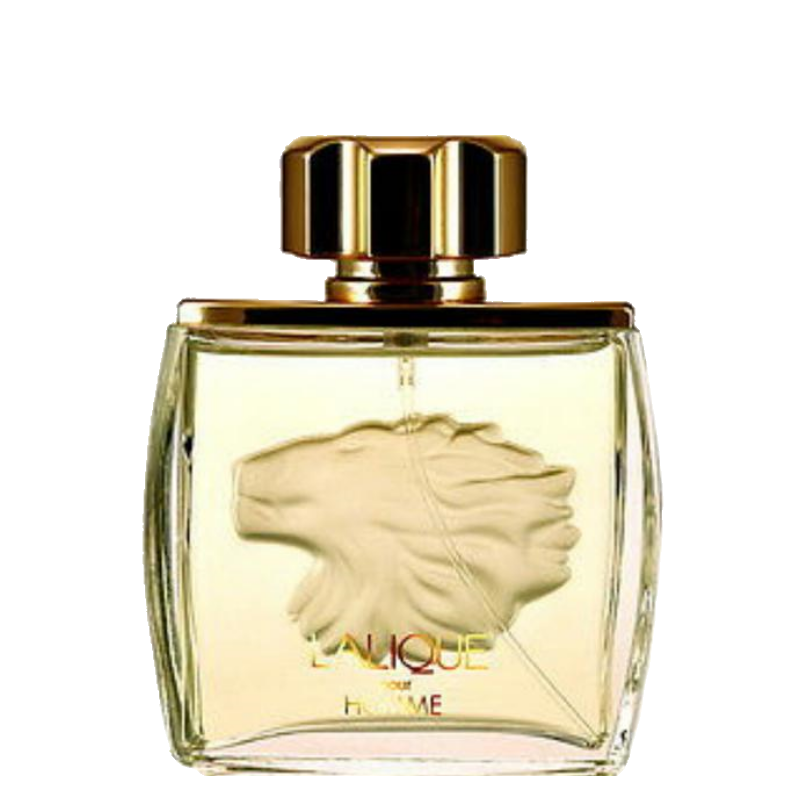 lalique pour homme lion review