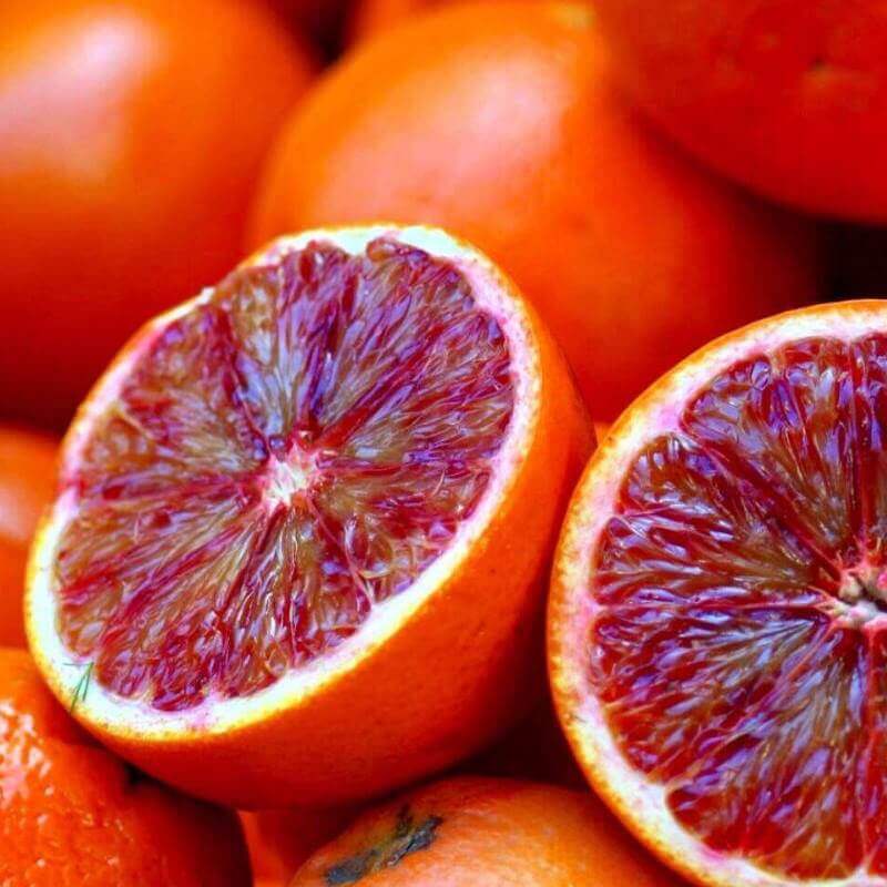 blood-orange-perfumes-savour-experience-perfumes