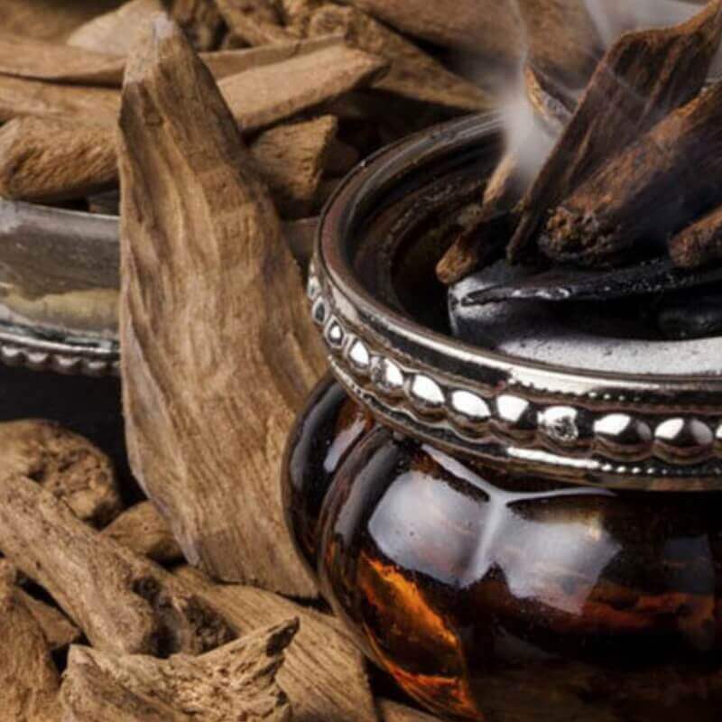 Agarwood (Oud) Perfumes | Savour Experience Perfumes