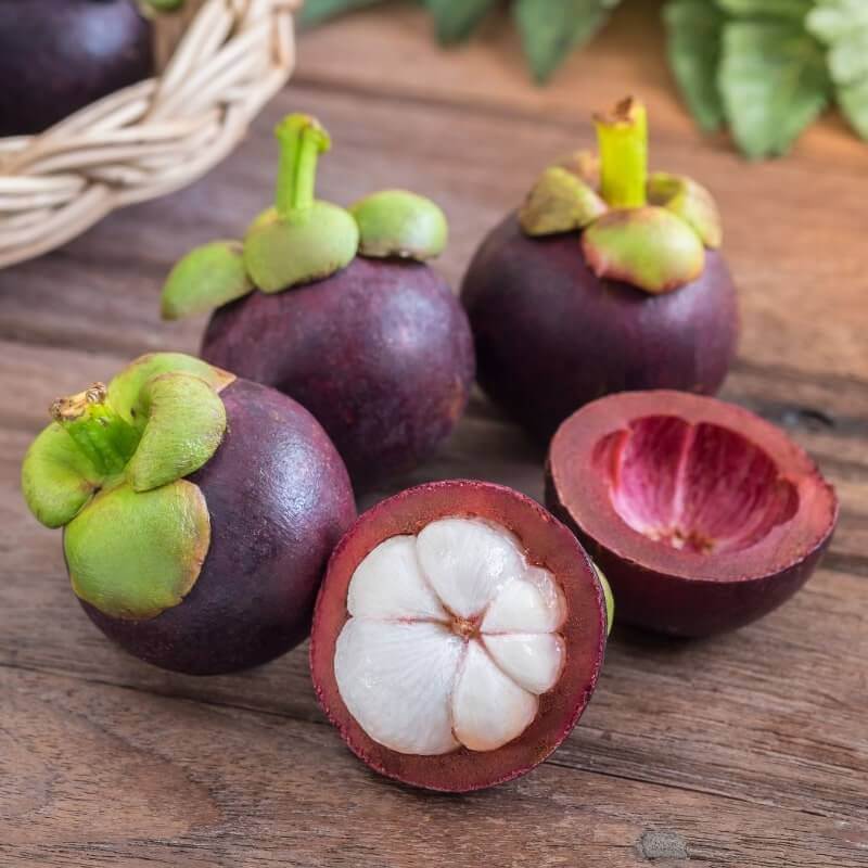 Mangosteen Perfumes | Savour Experience Perfumes