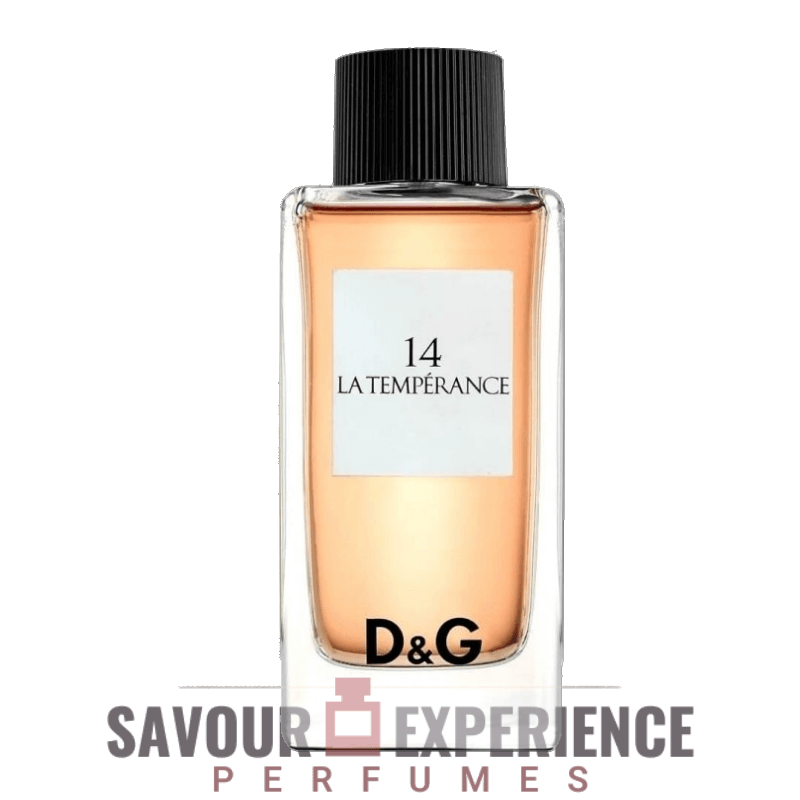 Dolce & Gabbana D & G Anthology La Temperance 14 Image