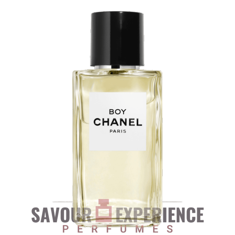 Chanel Boy Chanel Image