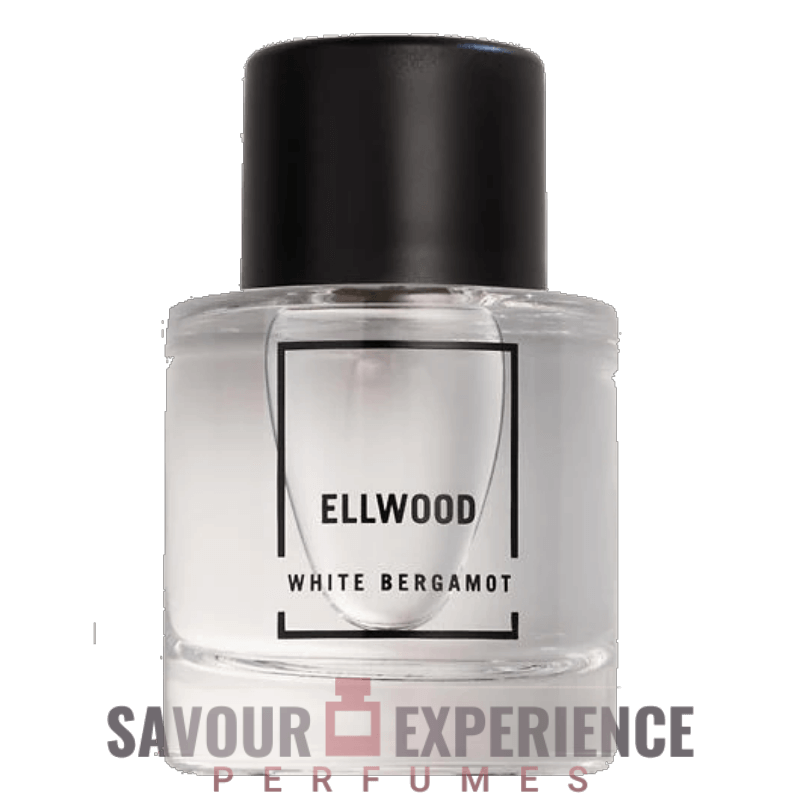 Abercrombie & Fitch Ellwood Image