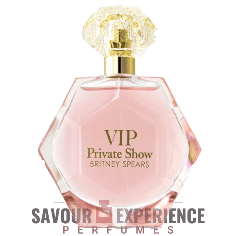 Britney Spears VIP Private Show Image
