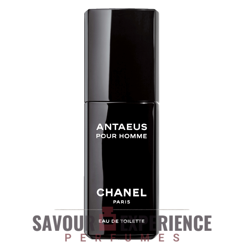 Chanel Antaeus Image
