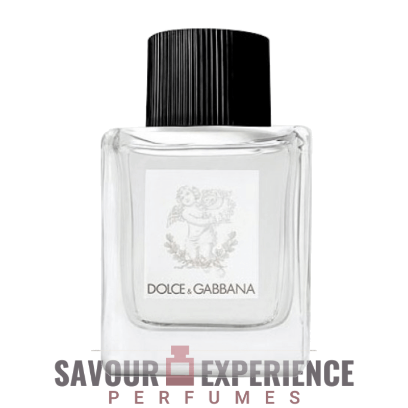Dolce & Gabbana Perfume for Babies Image